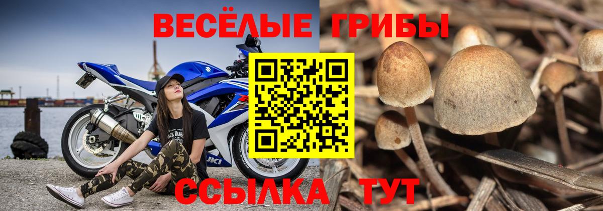 Галлюциногенные грибы ЛСД Майский
