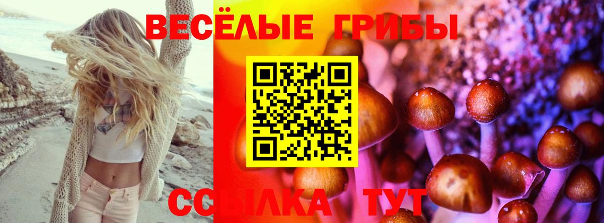Майский  как найти   Вход с VPN  Галлюциногенные грибы Psilocybine cubensis 
